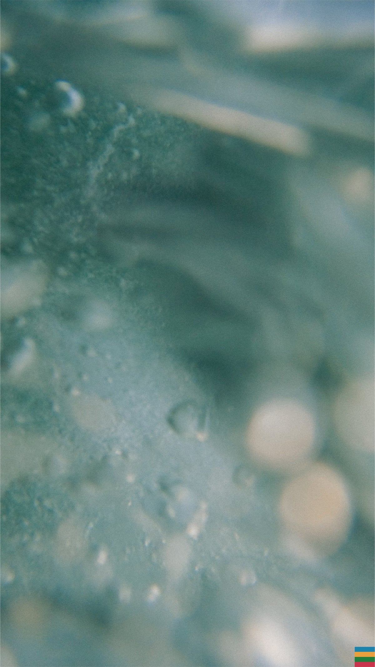 WATER No.3 / RISE
