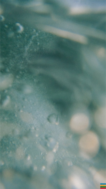 WATER No.3 / RISE
